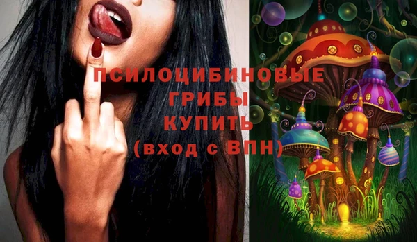экстази Арсеньев