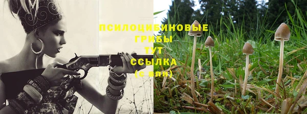 крисы Армянск