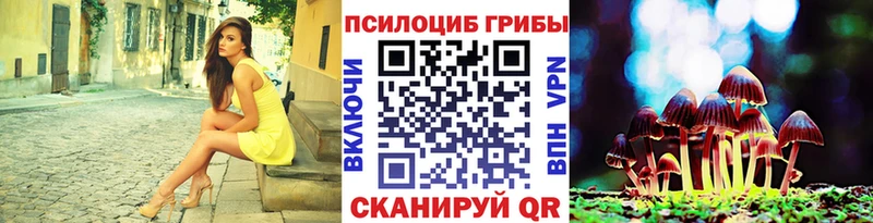 кракен tor  сайты даркнета официальный сайт  Псилоцибиновые грибы прущие грибы  дарнет шоп  Кочубеевское 